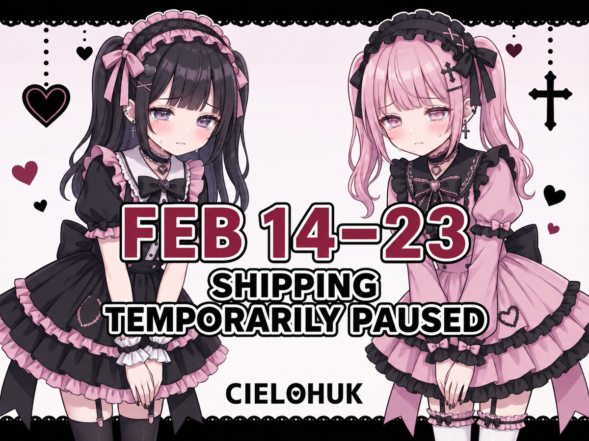 Temporary Shipping Pause: February 14–23