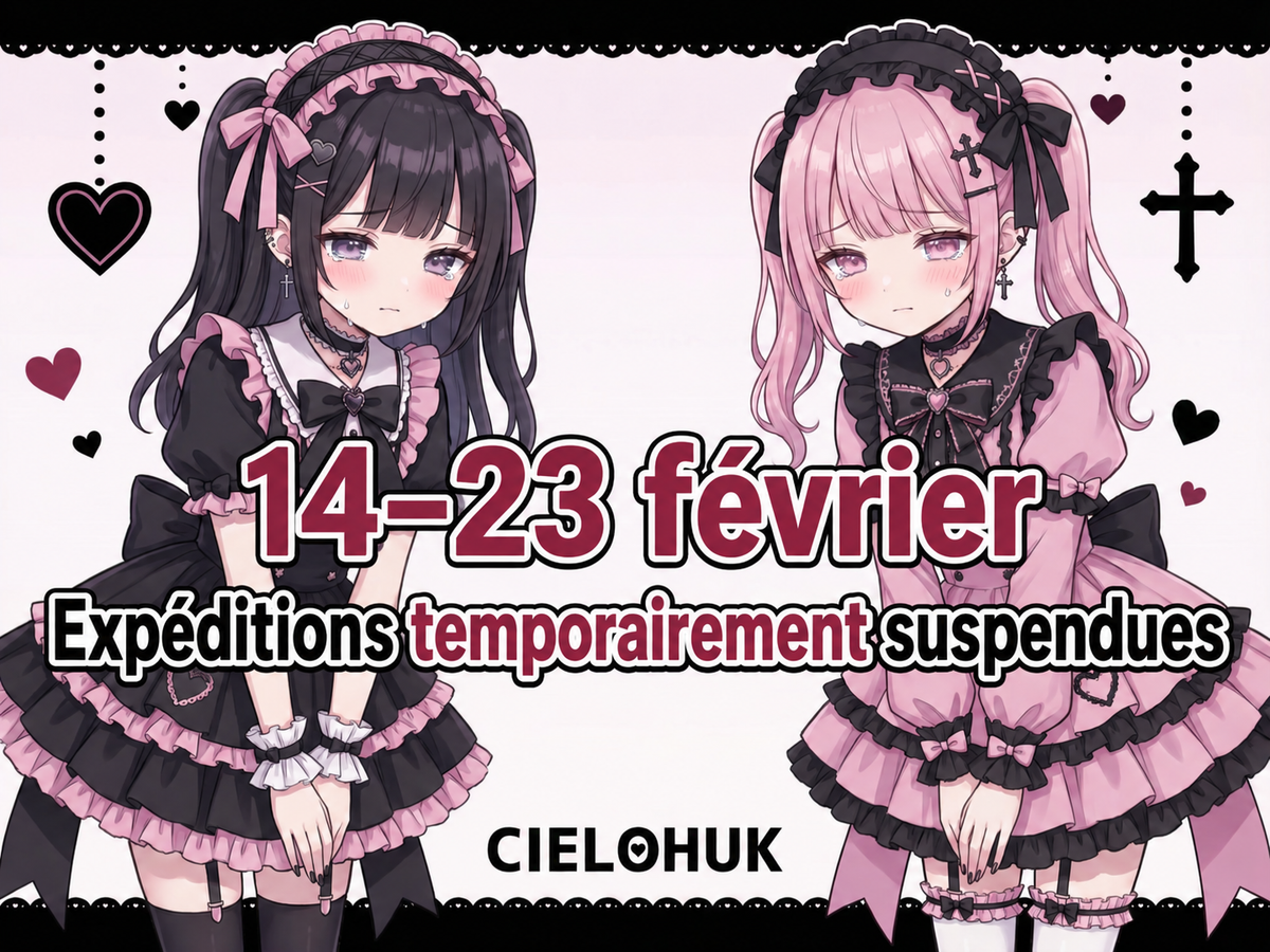 Avis de suspension temporaire des expéditions : 14 février～23 février